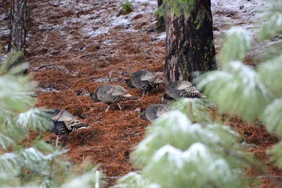 DSC_0821 (Large).JPG